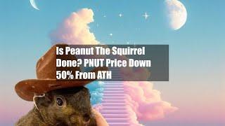 Is Peanut The Squirrel Done? PNUT Price Down 50% From ATH