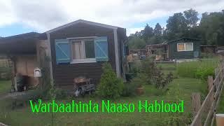 Jawi Degen & Warbaahinta Naaso Hablood.