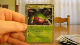 Free Pokemon Cards by Mail:  PokemonMaster556