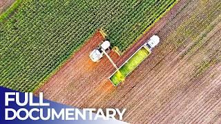 Agricultural Landmarks: Technologies to Feed the World | FD Engineering