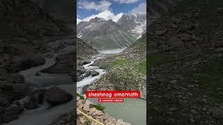sheshnag jheel amarnath #amarnathyatra #amarnathyatra2023 #amarnath #sheshnag #bababarfani