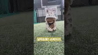 아빠가 애기보는 시간 #vlog #한일부부 #korea #韓日夫婦 #국제부부 #육아