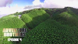 Haiku Bamboo Forest - Adventure Brothers