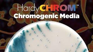 HardyCHROM™ a complete offering of Chromogenic Media