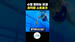 수영을 잘하는 최적화 스트로크 비밀