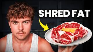 Fat Loss On The Carnivore Diet (Everything You Need To Know)