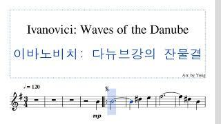 이바노비치: 다뉴브강의 잔물결 (플루트) Ivanovici: Waves of the Danube (Flute)