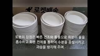 독일토분의 특징과 장.단점