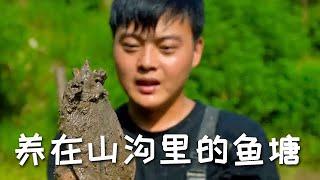 【戶外捕魚vlog】花200塊包下老爺爺養在山溝裏的魚塘，沒想到裏面的貨這麼大...#三農#鄉村守護人