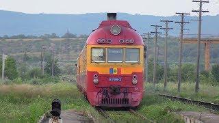 Дизель-поезда Д1-798+736 на ст. Пырлица / D1-798+736 at Pirlita station