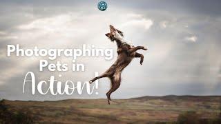 Photographing Dogs in Action!