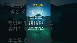 일상의 감사 #감성글귀 #명언 #에세이