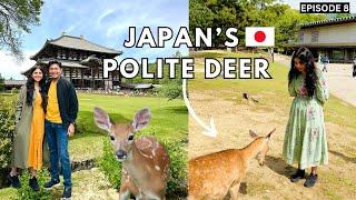 Day Trip To Nara | 100 Years Old Japanese Home Tour In Kyoto | Japan Travel Guide