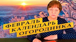 Лунный календарь для садоводов и огородников на февраль 2023 года.