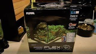 Fluval Flex Review / Fire Belly Newt Setup