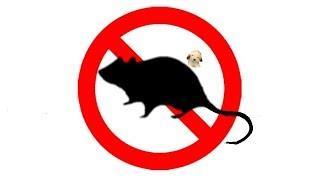 ▶️ Mouse & Rat Ultra Sonic Deterrent. Mice Ultrasonic Repellent. 12 Hours. 