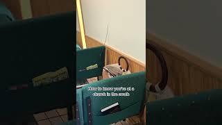 #iykyk #smalltown #church #fok #southern #toddlers