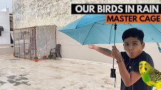 Nesting Material for Birds | Master Cage - Bird Aviary | Infozone Xtreme