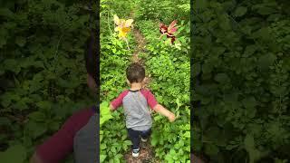 Fairy Forest with Conner found a Salamander #Shorts