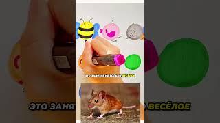 Рисуем 9 разных животных за 1 минуту  #развитие #дети #ребенок #рисунок #длядетей