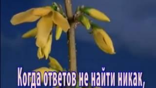 НЕ ТРАТЬТЕ ЖИЗНЬ НА ТЕХ, КТО ВАС НЕ ЦЕНИТ!