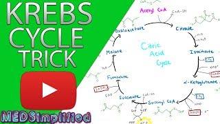 Krebs Cylcle Trick  How to remember krebs cycle FOREVER!!