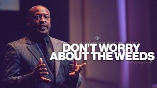 Sunday Sermon | "Don't Worry About The Weeds" with Pastor James McCarroll