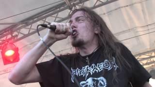 REVEL IN FLESH - Rotting in the Void