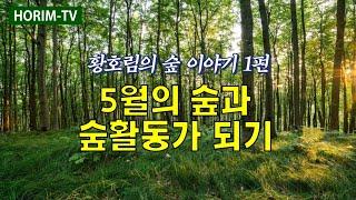 황호림의 숲 이야기1회 오리엔테이션 (KBS 목포 1라디오)