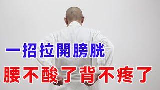 腰酸背痛，渾身難受，每天拍“膀胱經”100下，腰背舒服不酸不痛【絡穴養生課堂】