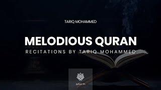 All Quran Recitations by Tariq Mohammed | طارق محمد