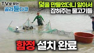 알아서 굴러 들어오는 물고기잡이 모음｜함정이랑 덫으로 물고기 잡는 기술 특집｜#골라듄다큐