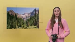 What is the Rule of Thirds? | Photography Basics Explained