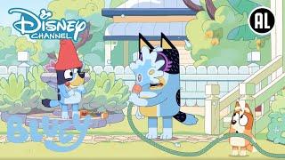 Bluey |   Gezonde Gewoonten | Disney Channel NL