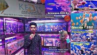 Cheapest Aquarium Fish Shop In Mumbai Kurla Market