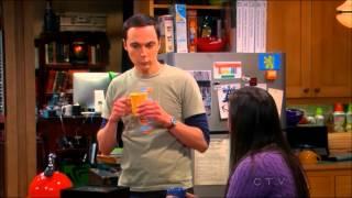 Sheldon and Leonard discuss the funeral with the girls