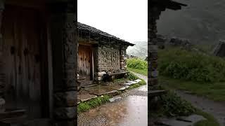 Rain Sounds for Sleeping Heavy Rain and Thunderstorm Sounds for Sleeping