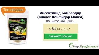 Купить Инсектицид Бомбардир Оптом. Аналог Конфидор Макси