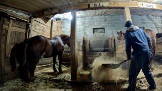 Nighttime CHORES with Jim on the Farm #772