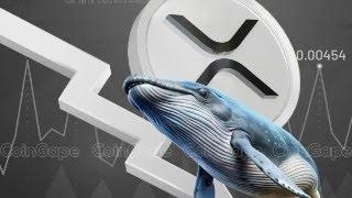 Mysterious 29 Million XRP Transfer to Coinbase — What’s Behind This Major Move?