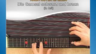 Zither spielen - Fortgeschrittenenkurs