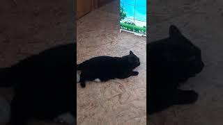 Сердитая Таня. Нет настроения. Не обьехать и не обойти.
