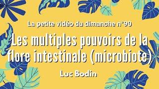 LES MULTIPLES POUVOIRS DE LA FLORE INTESTINALE (MICROBIOTE) -  La petite vidéo du dimanche n°90