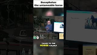 Bucephalus: the Untamable Horse - Tamed by Alexander