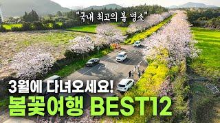 3월에 꼭 가야할 봄 여행지 BEST 12