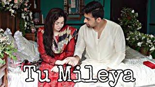 Hamza and Hala | Tu mileya | Mere Humsafar