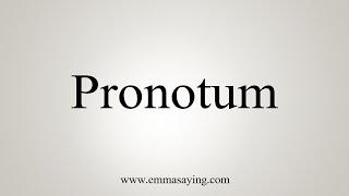 How To Say Pronotum