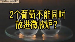 为什么不能同时把两颗葡萄放进微波炉？#科普 #科学 #涨知识 #葡萄 #数学 #数学思维 #建筑 #物理 #地理 #微波爐