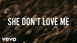 ZAYN - SHE DON'T LOVE ME (Lyric Video)