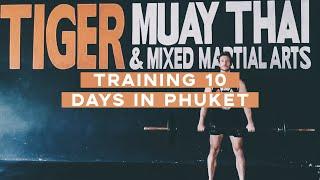 TRAINING IN PHUKET | TRAINING AT TIGER MUAY THAI FOR 10 DAYS